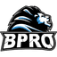 Bpro logo