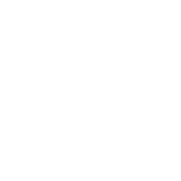 Veto logo