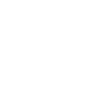 Veto logo