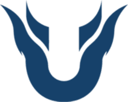 Unique Nova logo