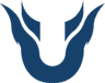 Unique Nova logo