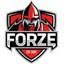 ForZe logo