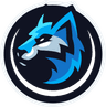 Polar Ace logo