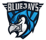 BLUEJAYS logo