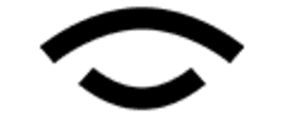 BLINK logo