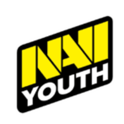 NAVI Youth logo