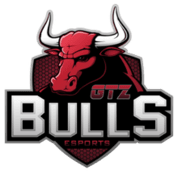GTZ Bulls logo
