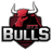 GTZ Bulls