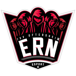 Rhein Neckar logo