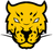 Jaguares