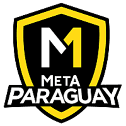 Meta PY logo