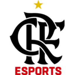Flamengo Academy logo