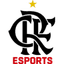 Flamengo Academy logo