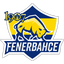 1907 Fenerbahçe Esports logo