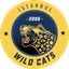 Istanbul Wildcats logo