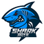 Shark Boys logo
