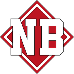NewBelarus logo