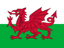 Team Wales logo