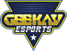 Geekay Esports logo