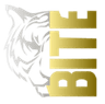 Born in the East logo