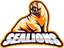 SeaLions logo