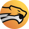 Wild Esports logo