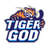 TIGER GOD logo