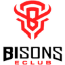BISONS ECLUB logo