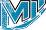 Team M11 logo
