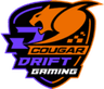 DRIFT Gaming logo