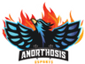 Anorthosis Esports logo