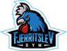 Fjerritslev Gymnasium logo
