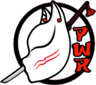 FIFTY FIVE POWER logo