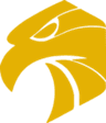 Team Luxe logo