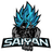 Team Saiyan