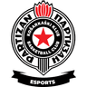Partizan Esports logo