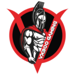 VX300 Gaming logo