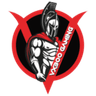 VX300 Gaming logo