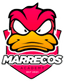 Marrecos Academy logo