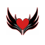 Valkyries logo