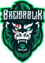 Breiðablik logo