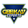 GeeKay Esports Cherry logo