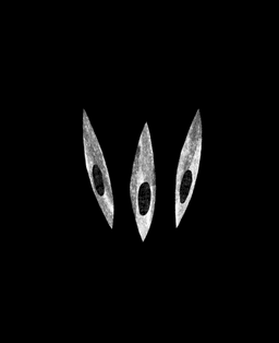 Ovoshi logo