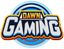 Dawn Gaming logo