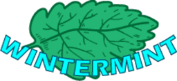 Wintermint logo