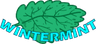 Wintermint logo