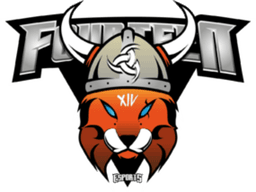 VIKINGS Fourteen logo
