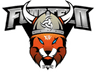 VIKINGS Fourteen logo