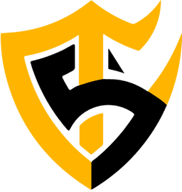 Team Solid logo