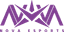 Nova Esports logo